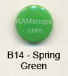 B14 Spring Green