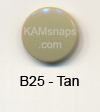 B25 Tan