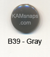 B39 Gray