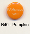B40 Pumpkin