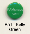 B51 Kelly Green