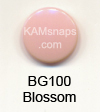 BG100 Blossom