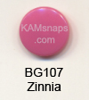 BG107 Zinnia