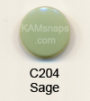 C204 Sage